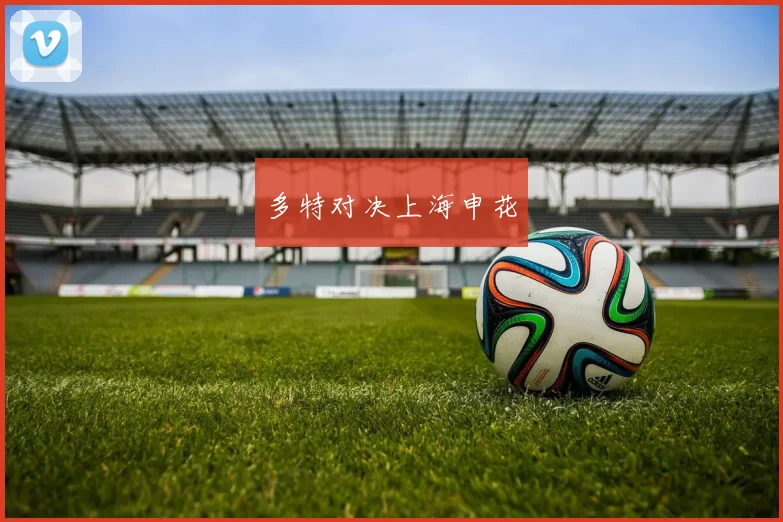 多特对决上海申花