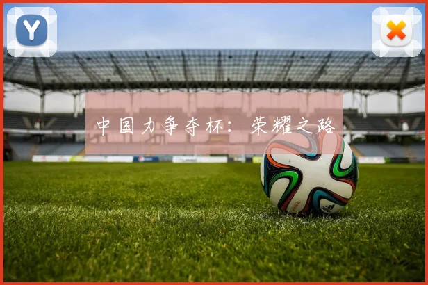 中国力争夺杯：荣耀之路
