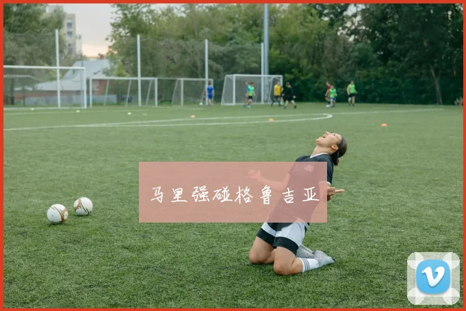 马里强碰格鲁吉亚
