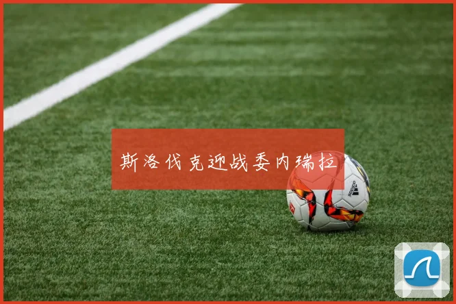 斯洛伐克迎战委内瑞拉