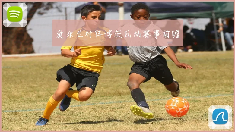 爱尔兰对阵博茨瓦纳赛事前瞻