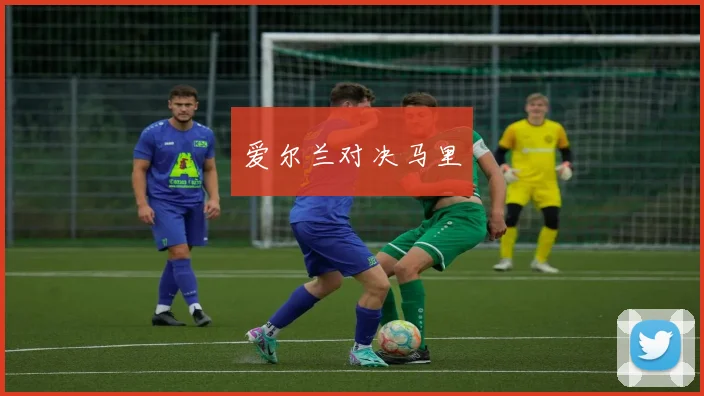 爱尔兰对决马里