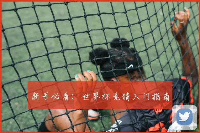 新手必看：世界杯竞猜入门指南