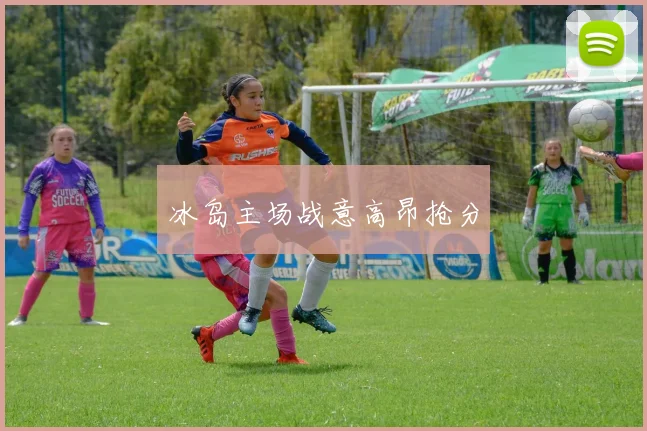 冰岛主场战意高昂抢分