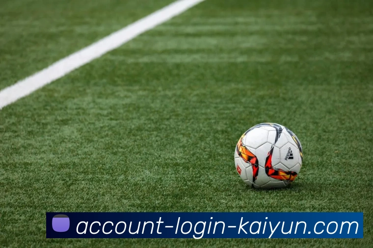 服务体系