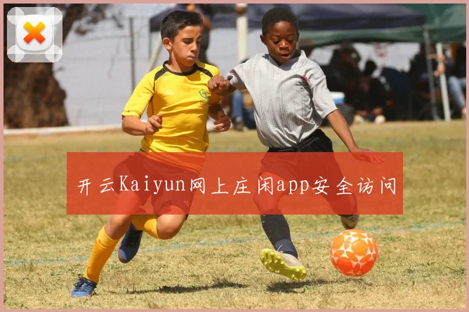 开云Kaiyun网上庄闲app安全访问