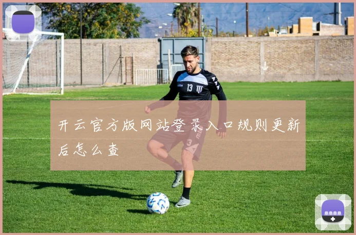 开云官方版网站登录入口规则更新后怎么查