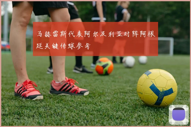 马赫雷斯代表阿尔及利亚对阵阿根廷关键传球参考