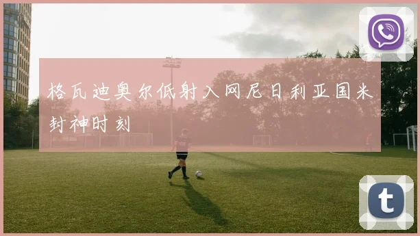 格瓦迪奥尔低射入网尼日利亚国米封神时刻